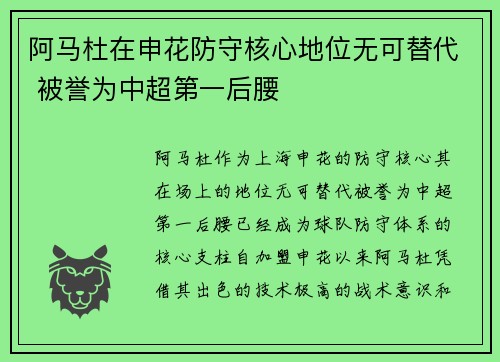 阿马杜在申花防守核心地位无可替代 被誉为中超第一后腰