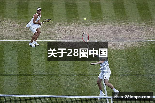 关于28圈中国